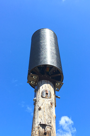 Wood Pole Top Mount