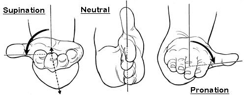 Supination, Neutral, Pronation